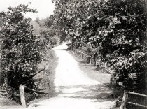 Abram's Creek Bridge, 1901